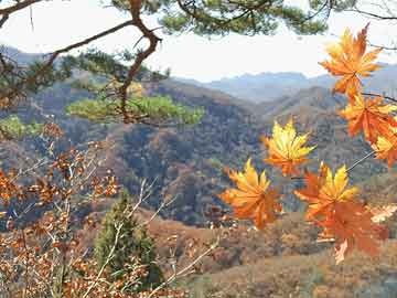 吃打胎药流血少正常吗(吃打胎药流血少正常吗图片)